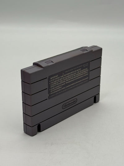 Chester Cheetah Too Cool To Fool Super Nintendo SNES NTSC-U/C bon état