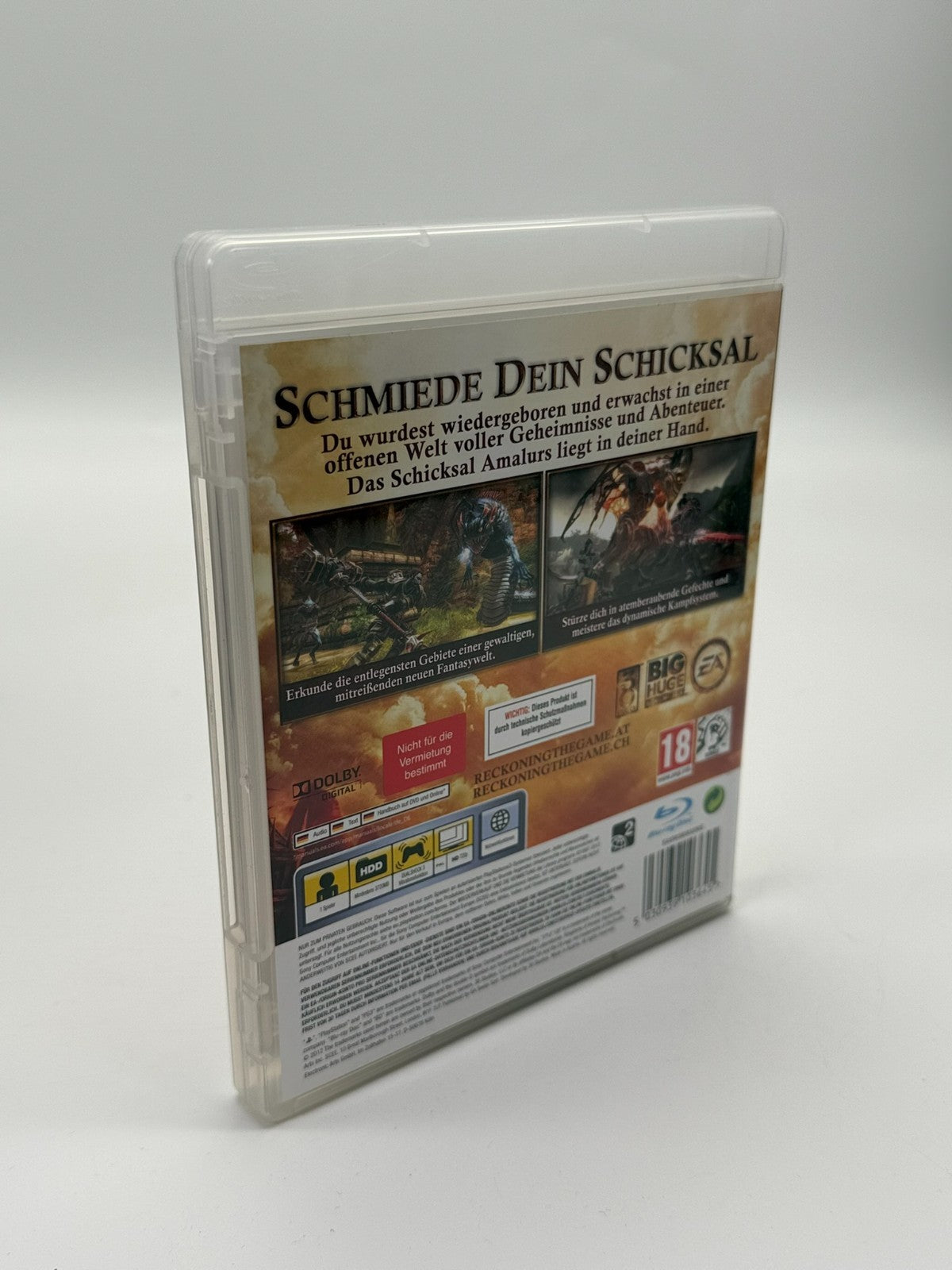 Kingdoms Of Amalur Reckoning Sony Playstation 3 Très bon état CIB OVP