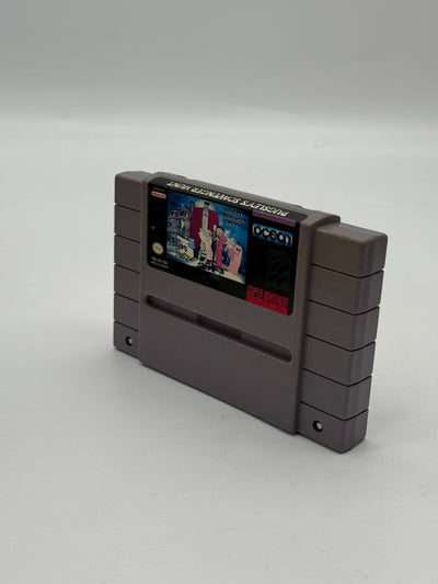 Pugsleys Scavenger Hunt Super Nintendo SNES NTSC-U/C guter Zustand