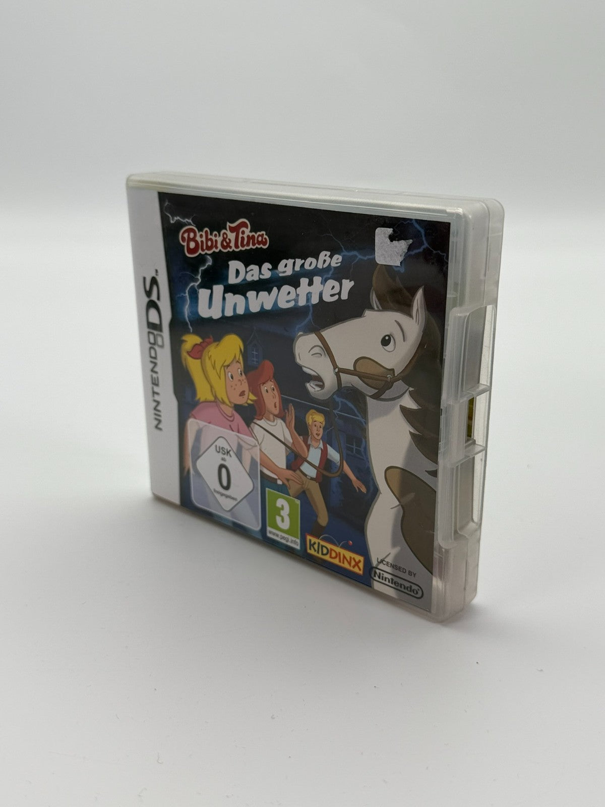 Bibi & Tina The Big Storm Nintendo DS good condition CIB OVP